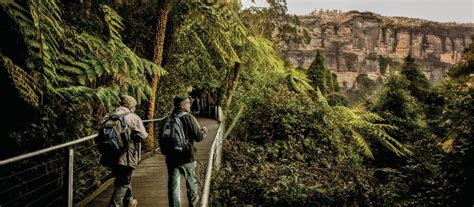 10 Best Blue Mountains Walks Blue Mountains Adventure Company B