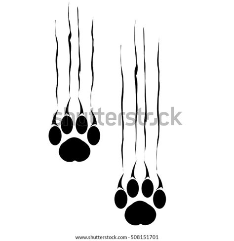 2,854 Tiger Paw Scratch Images, Stock Photos & Vectors | Shutterstock