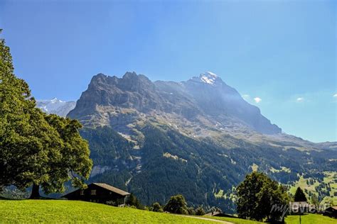 Grindelwald Eiger Eigernordwand Alpen Berner Oberland Unterer