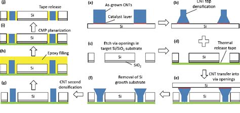 Figure From Double Densified Vertically Aligned Carbon Nanotube