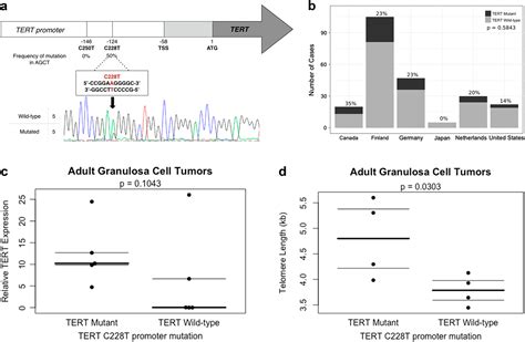 Tert Promoter Mutation In Adult Granulosa Cell Tumor Of The Ovary Modern Pathology