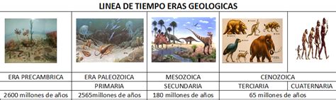 Las Eras Geol Gicas Importancia De Las Eras Geologicas