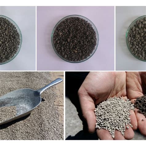 Different Types Of Granulated Fertilizers Made From Dewatered Sewage Download Scientific