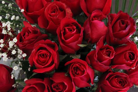 Naked Cupcakes Happy Valentines Day