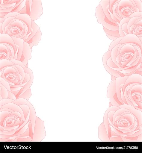 Pink rose border Royalty Free Vector Image - VectorStock