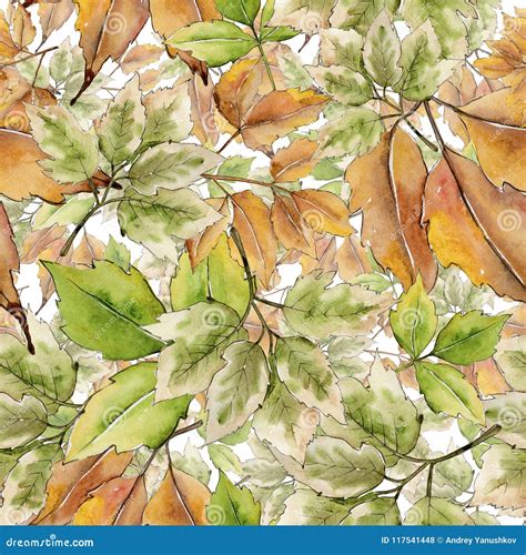 Maple Leaf Leaf Plant Botanical Garden Floral Foliage Seamless