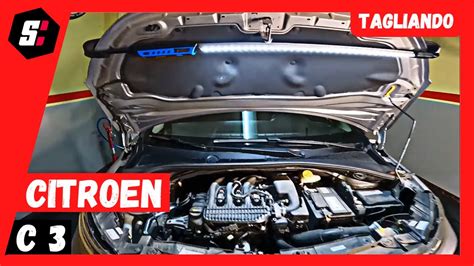 Tagliando Completo Citroen C3 Serie 3 Car Service Citroen C3