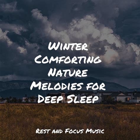 Winter Comforting Nature Melodies For Deep Sleep Album By Life Sounds