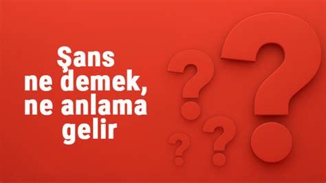 Ans Ne Demek Ne Anlama Gelir Ans Kelimesinin Tdk S Zl K Anlam