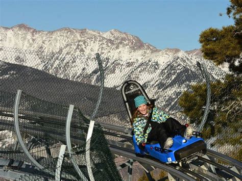 7 Exhilarating Mountain Coasters In Colorado Vail Ski Resort