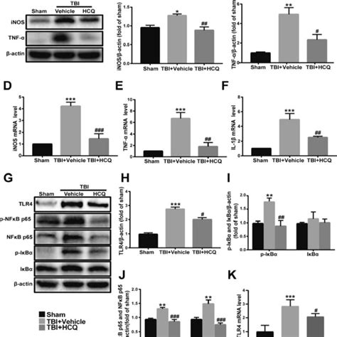 Hcq Administration Suppressed Proinflammatory Cytokine Expression And