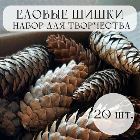 Еловые шишки набор 20 шт. (для творчества и не только) купить на OZON ...