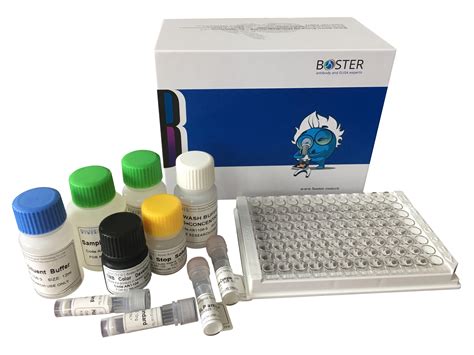 Mouse Rat Thyroxine T Total Elisa Kit