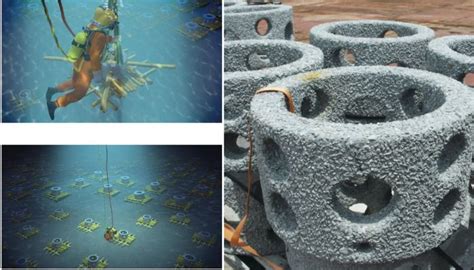 Preserving Our Oceans With 3d Printing An Overview Of Current Projects 3dnatives