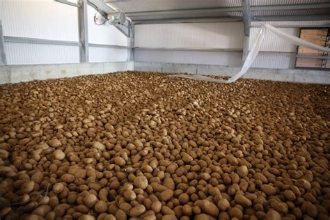 Recording Critical Potato Storage Parameters Potatoworld