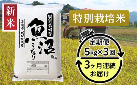 94 K53【3ヶ月連続お届け】特別栽培米 新潟県魚沼産コシヒカリ（長岡川口地域）5kg 新潟県長岡市｜ふるさとチョイス ふるさと納税サイト