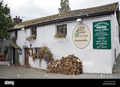 Borrowdale valley yew tree hi-res stock photography and images - Alamy