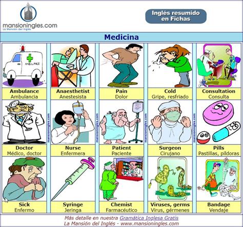 Medicina En Ingl S Vocabulario En Ingles Material Escolar En Ingles