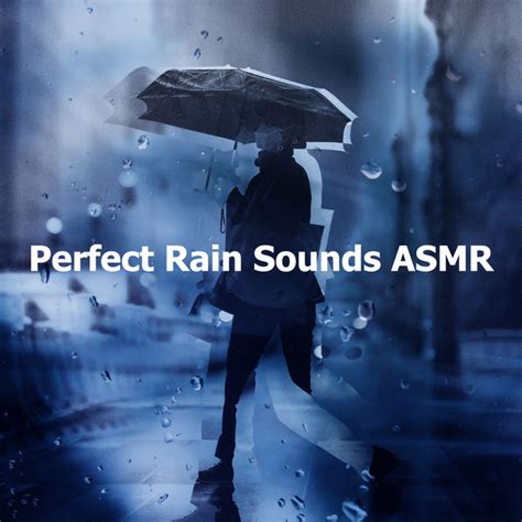 Perfect Rain Sounds Asmr Album By Rain Sounds Xle Library Spotify