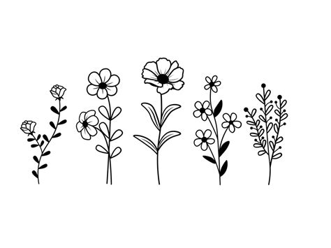 Wildflowers Svg Floral Svg Wild Flower Svg Flower Sketch Svg Cricut