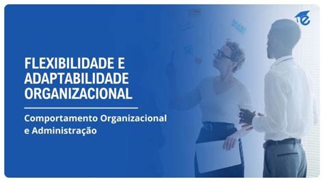 Regime de Adaptabilidade Flexibilidade e Eficiência no Trabalho