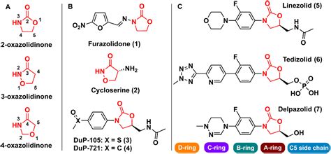 Oxazolidinones As Versatile Scaffolds In Medicinal Chemistry Rsc