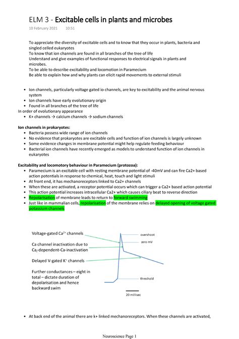 elm  excitable cells  plants  microbes