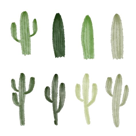 Dise O Vectorial De Colecciones De Cactus Vector Premium