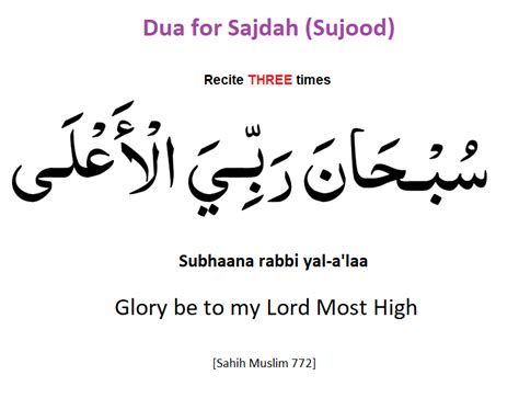 Dua For Sajdah Sujood Duas Revival Mercy Of Allah