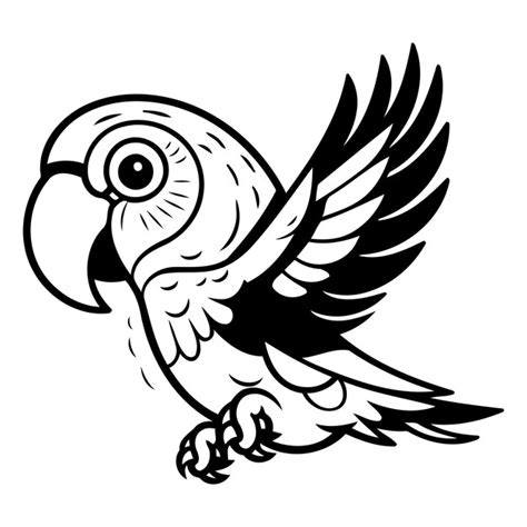 Premium Vector Parrot Vector Illustration Isolated Parrot On White