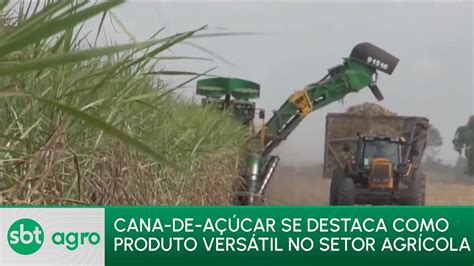 Sbt Agro Cana De A Car Ganha Relev Ncia No Cen Rio Agr Cola