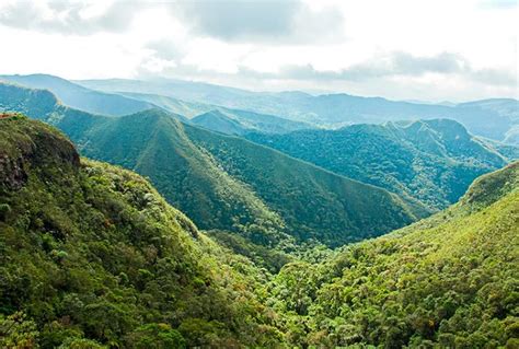 Mês do Meio Ambiente Educação pode salvar o planeta