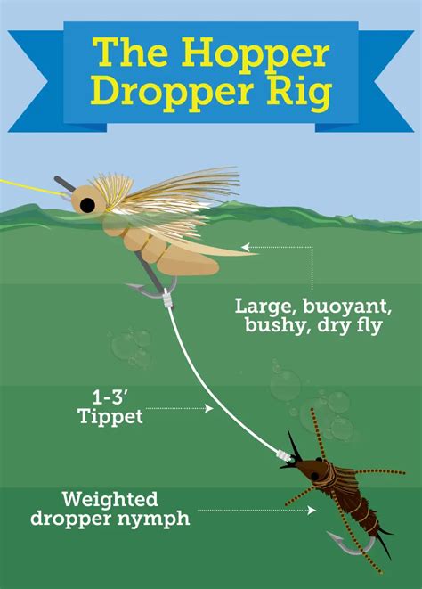 Multiple Fly Rigs For Trout NWFR