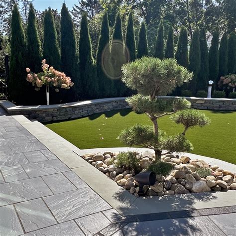 trees shrubs blue spruce design