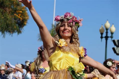 Madeira or Azores? A complete comparison for travellers - Say Yes to ...