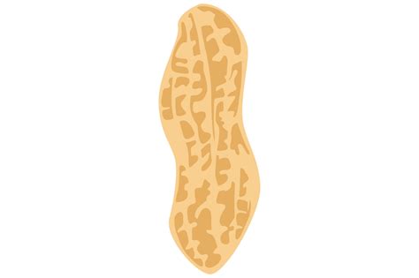 Peanut Logo Icon On Transparent Background Png