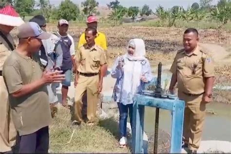 Foto Dampak El Nino Debit Air Waduk Cacaban Tegal Menyusut Drastis