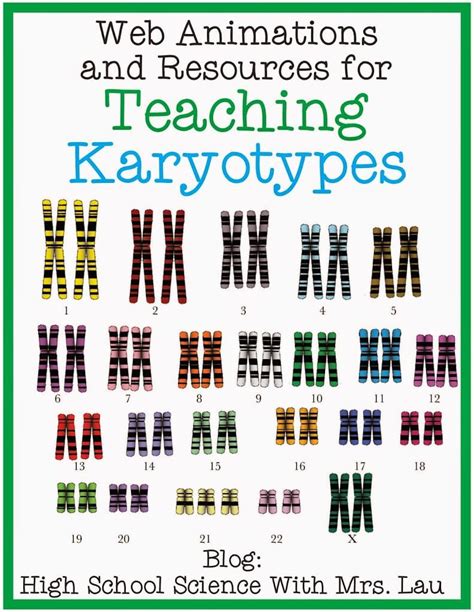 Teaching about Karyotypes and Chromosomes - Science and Math with Mrs. Lau