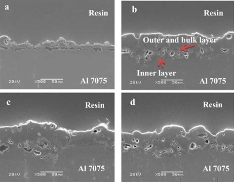 Cross Sectional Morphologies Of Coating Layers Formed In Different