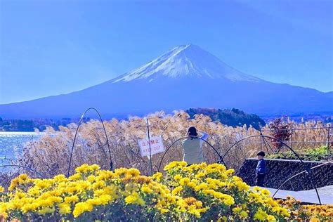 Excurs O Privada De Um Dia Ao Monte Fuji Motorista Que Fala