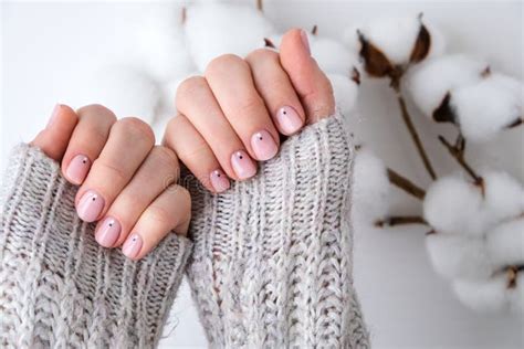 Woman Hands With Beautiful Nude Manicure Holding Delicate White Cotton Flower Female Manicure