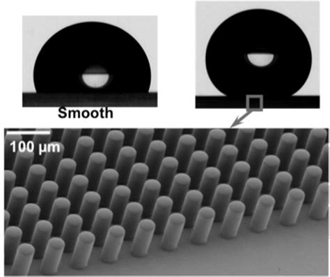 Shows Fabricated Silicone Rubber Micropillars That Rendered The