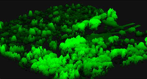 Remote Sensing Free Full Text Tree Species Detection Accuracies