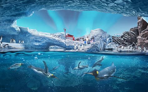 Seaworld Abu Dhabi A Next Generation Marine Life Theme Park