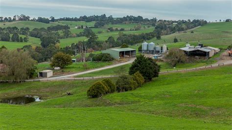 Chinese Company Dfp Australia Buys Two Gippsland Dairy Farms The