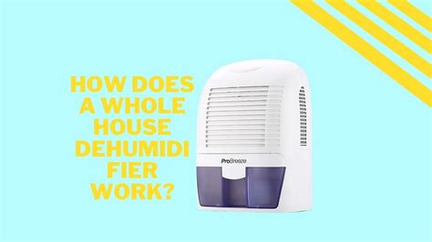 Can Dehumidifiers Make You Sick Hidden Health Risks Sunnahagro Medium