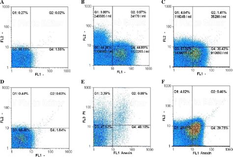 Flow Cytometry Analysis Of Mcf 7 And L929 Cells Treated With