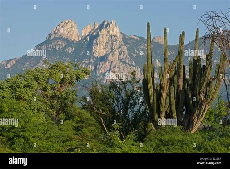 Sierra Madre Del Sur Mountains