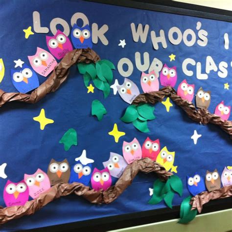 Owl Bulletin Board Look Whoo S In Our Class Woot Woot Already Goes With My Theme And Tree