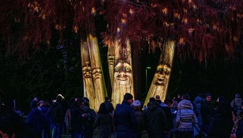 La città dei Balocchi è tornata è magica